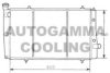 PEUGE 1331QW Radiator, engine cooling